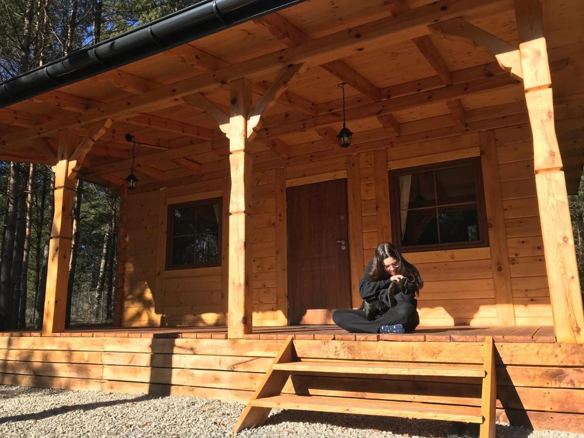 Forest Inn Trzepieciny Eksteriør bilde